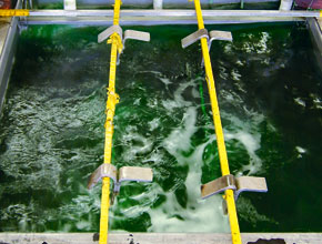 ���d���j�b�P�����b�L